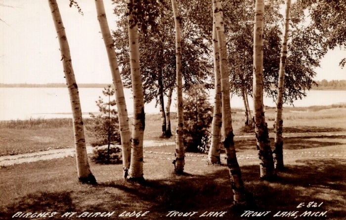 Birch Lodge (Birch Lodge Motel) - Old Postcard (newer photo)